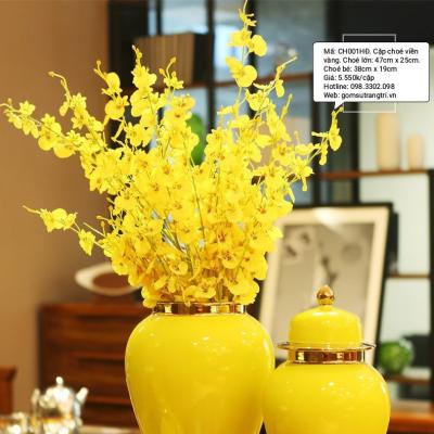 Cặp Chóe Viền Vàng
